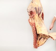 Meat Cut Spec Step 5